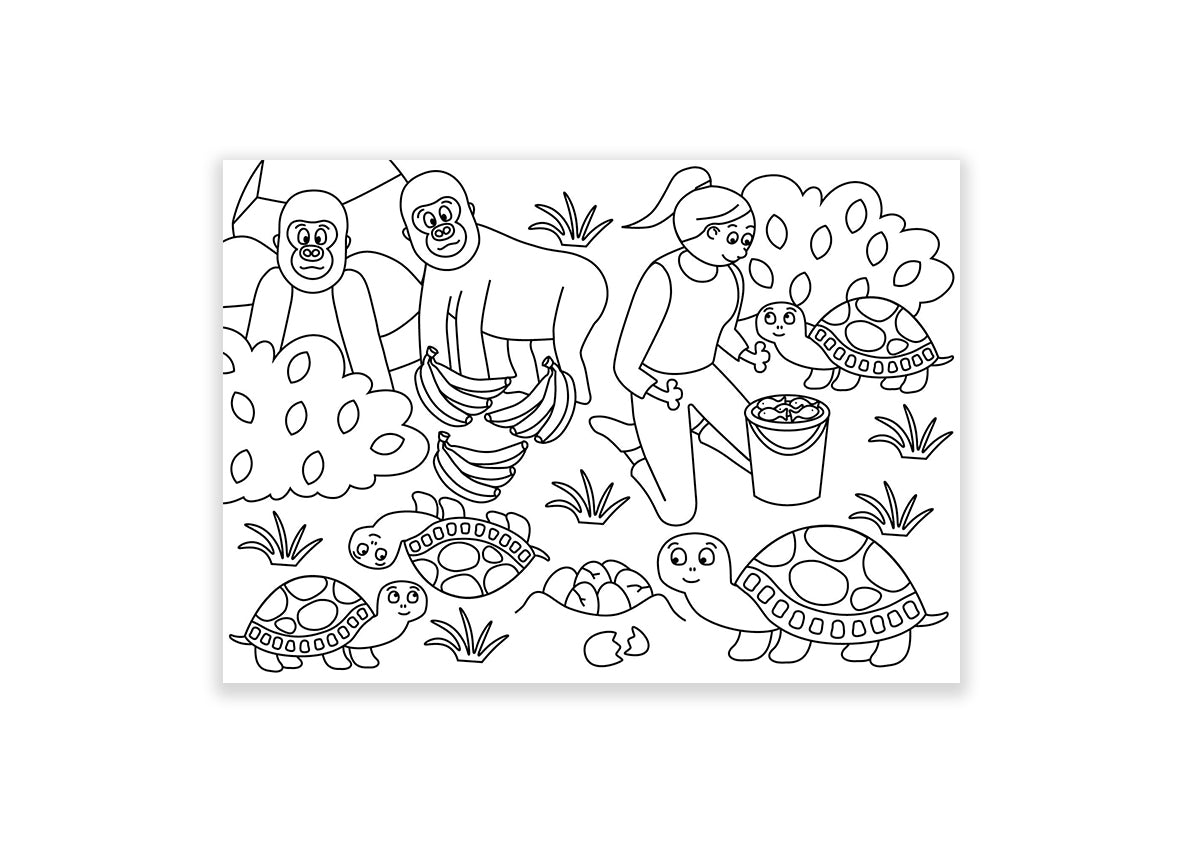Inkleurkaarten 5x “Dierentuin”